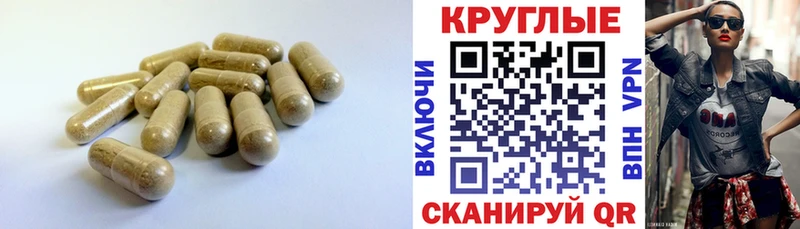 кракен зеркало darknet официальный сайт Экстази Дубай где купить наркоту Людиново