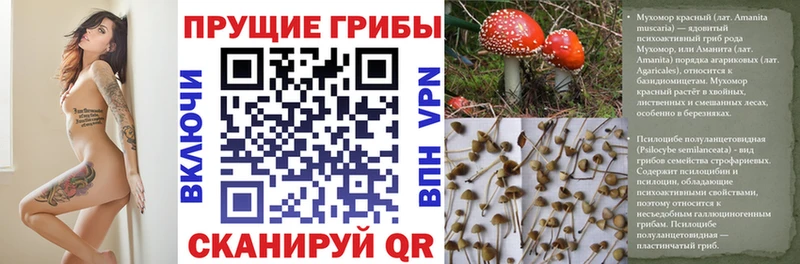 Псилоцибиновые грибы MAGIC MUSHROOMS  Людиново 